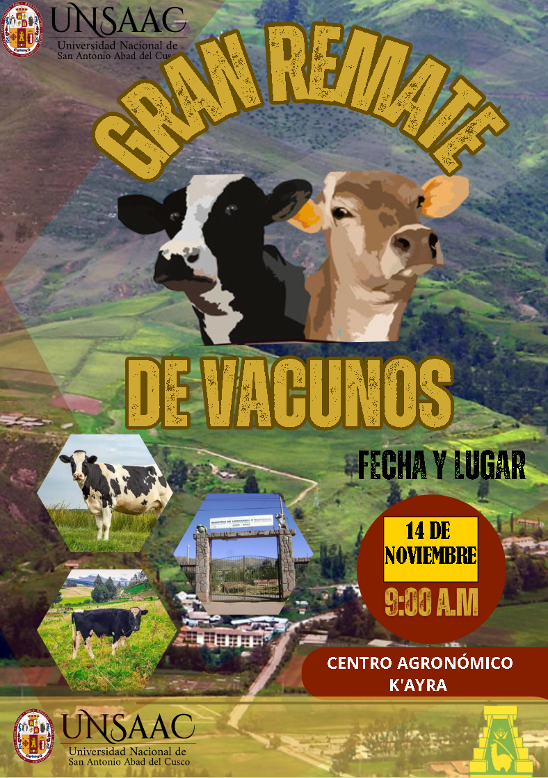 Subasta Pública Presencial N.° 07-2025-SUP-UA-DIGA-UNSAAC REMATE DE GANADO VACUNO